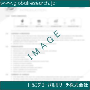 グローバルリサーチ調査資料のイメージ